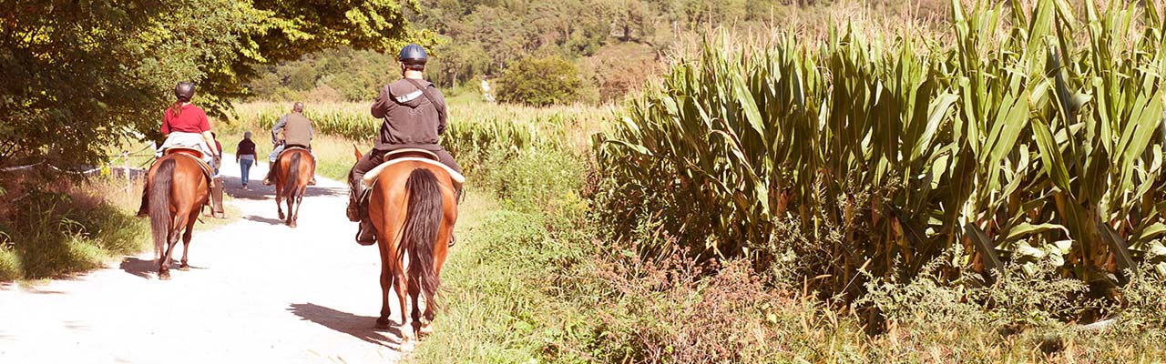 Bondgård i Toscana för att upptäcka Horse Trail