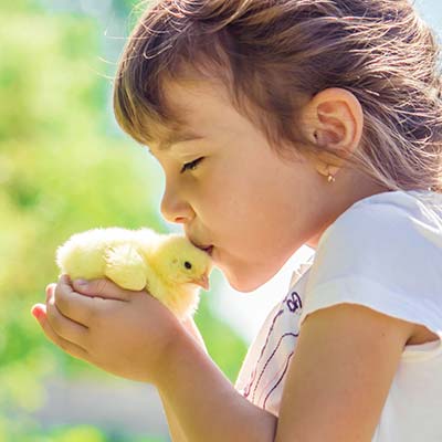 Familjesemester: Bondgård med djur för barn