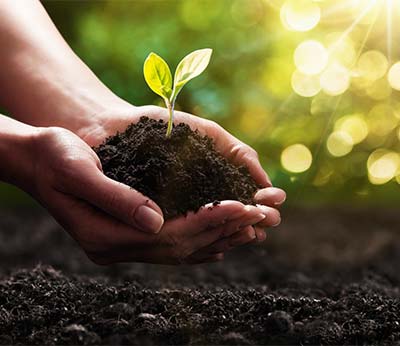 Semester i hållbara bondgårdar i Italien