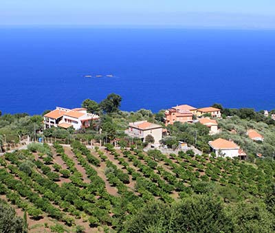 Bo i semesterhus, B&B, villa och bondgård nära havet